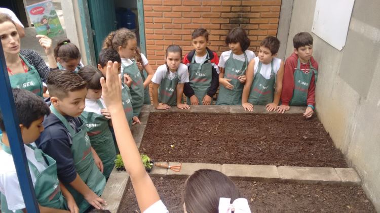 ATIVIDADE HORTA ESCOLAR - JUNHO