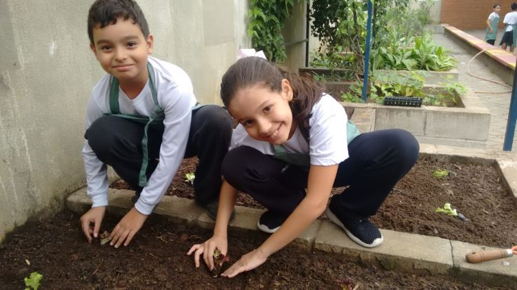 ATIVIDADE HORTA ESCOLAR - JUNHO