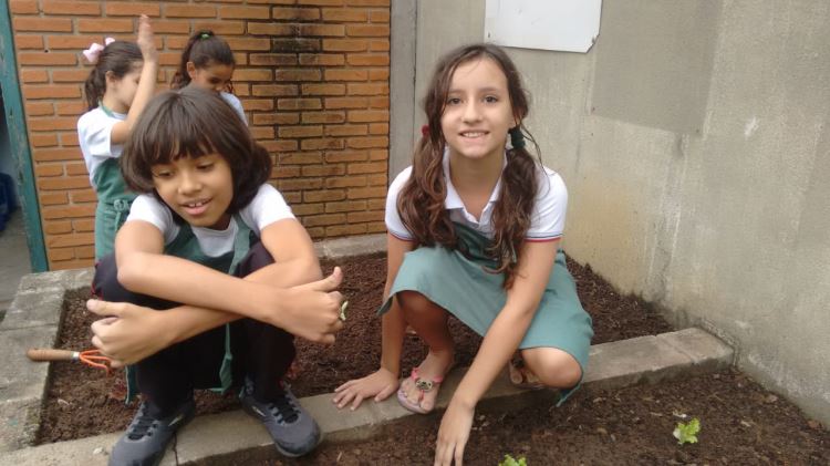 ATIVIDADE HORTA ESCOLAR - JUNHO