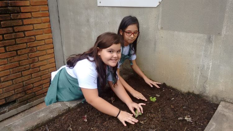 ATIVIDADE HORTA ESCOLAR - JUNHO