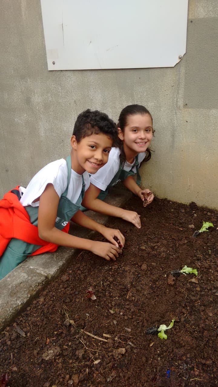 ATIVIDADE HORTA ESCOLAR - JUNHO
