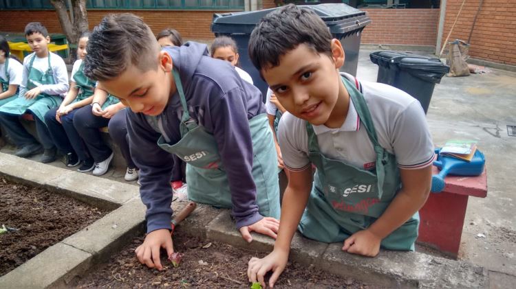 ATIVIDADE HORTA ESCOLAR - JUNHO