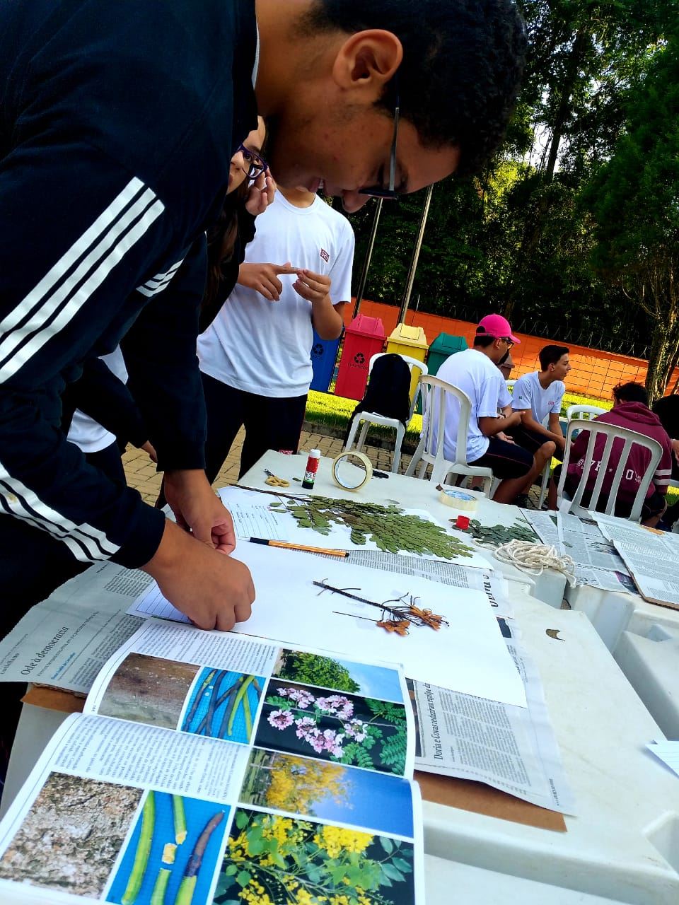 Alunos do SESI de Santa Bárbara catalogam espécies de árvores