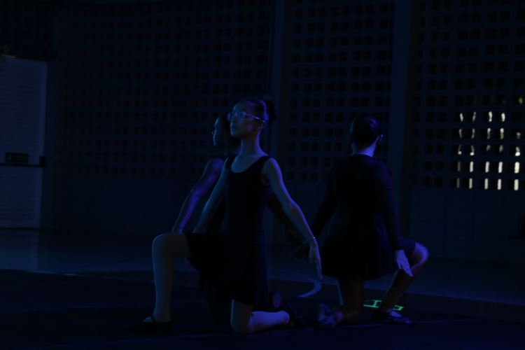 MOSTRA DE DANÇA SBO 2026