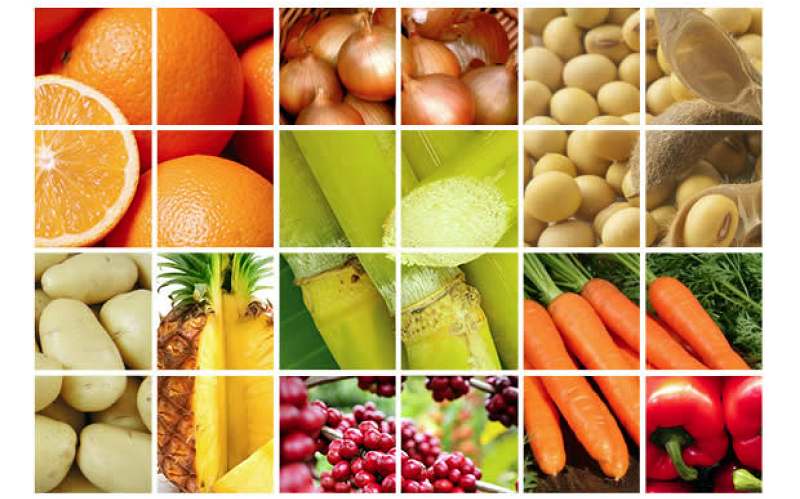 Cursos de nutrição - Maio