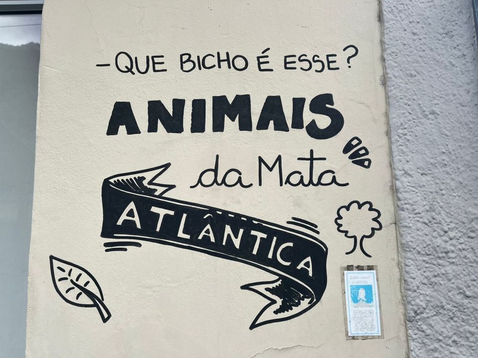 Arte e realidade aumentada incentivam o conhecimento sobre os animais da Mata Atlântica