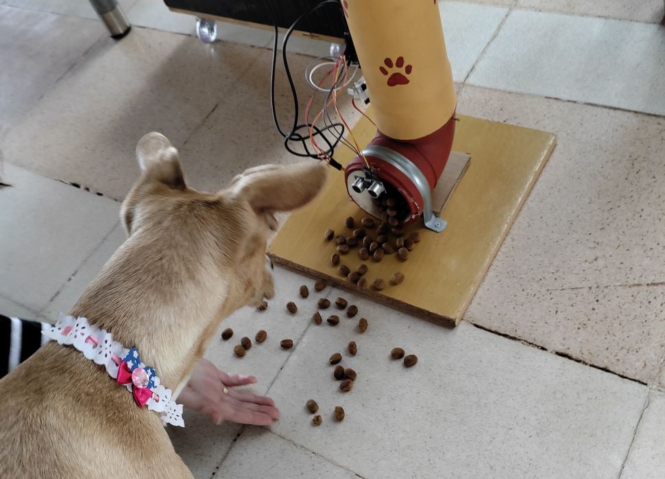 Alunas da escola Sesi Yolanda C. Bassitt criam comedouro inteligente para animais de rua