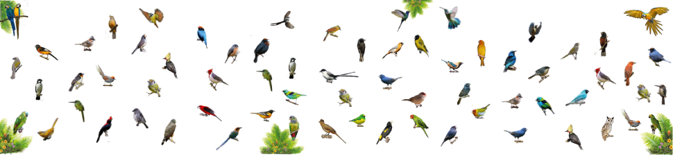 Novo Teatro Sesi Sorocaba recebe a Ocupação Artística Sinfonia em seu foyer