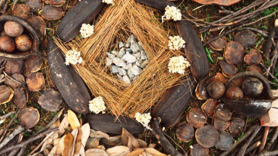 Pierre Fonseca realiza oficina gratuita, ‘Natura-lab’, no Sesi Sorocaba