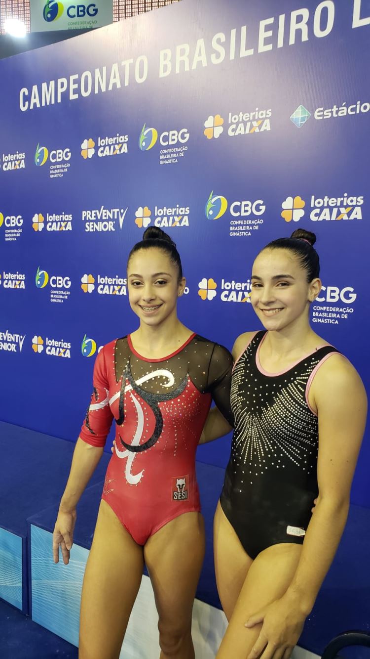 ginástica artística 