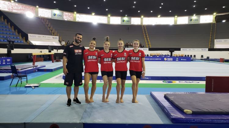 ginástica artística 