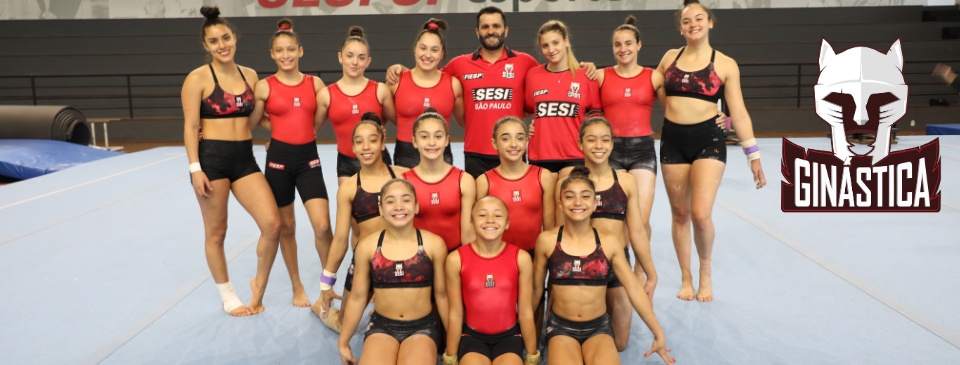 Sesi Santo André abre seletiva para Ginástica Artística 