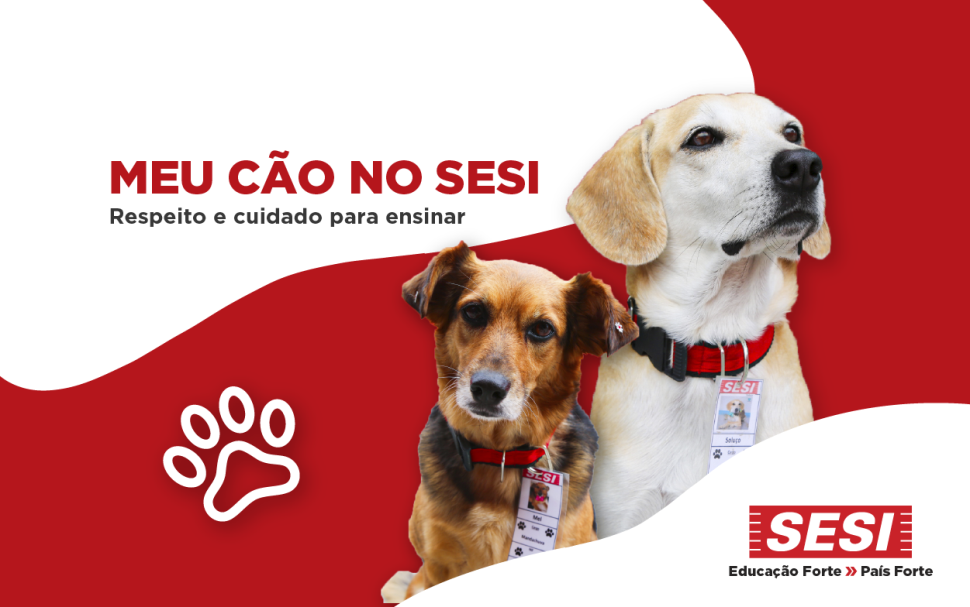 Meu Cão no Sesi