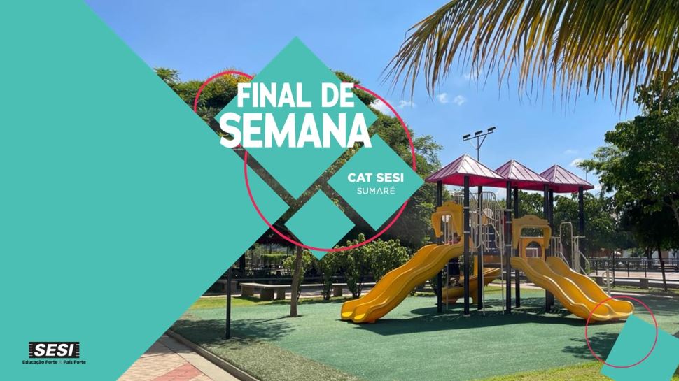 Confira a programação