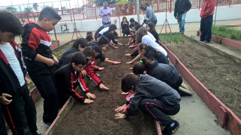 Alunos da Escola SESI-SP de Taubaté cultivam horta