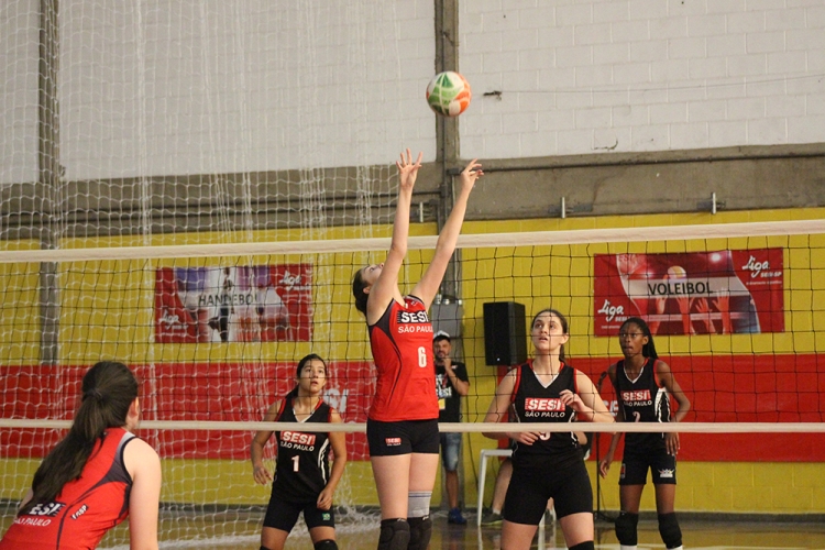 Volei