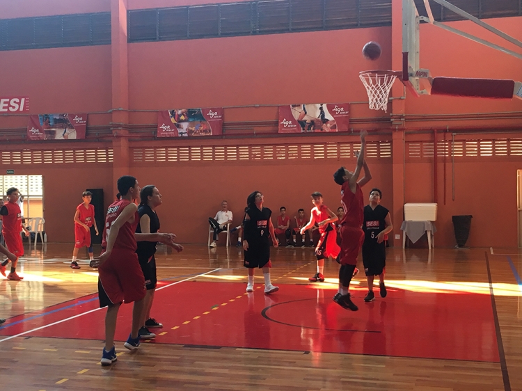 Basquete