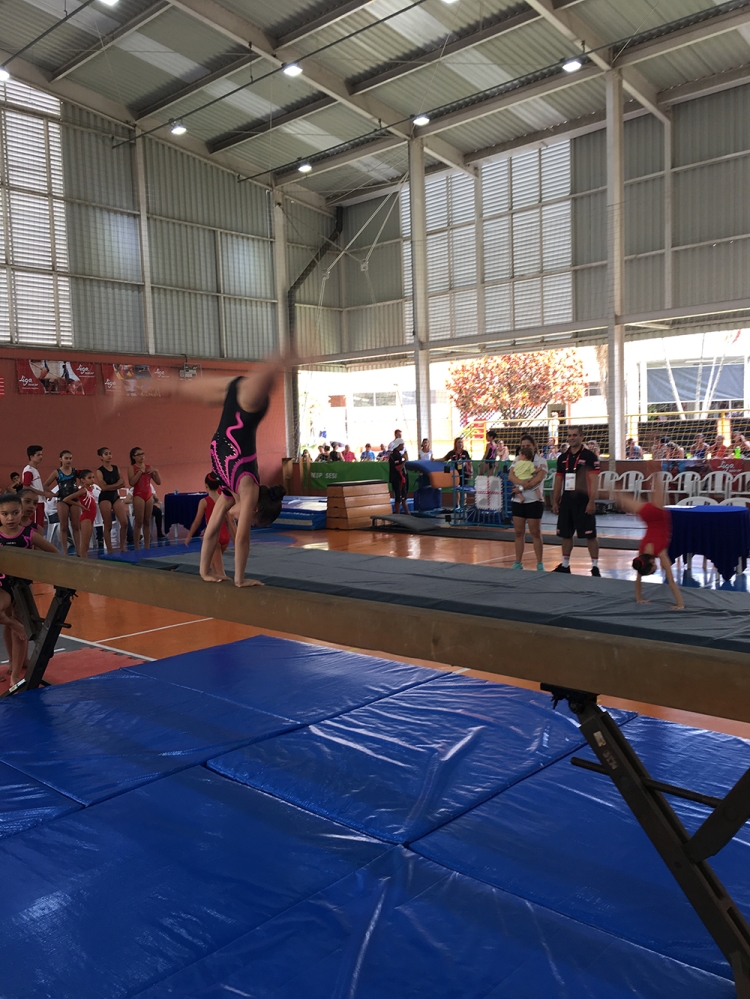Ginastica