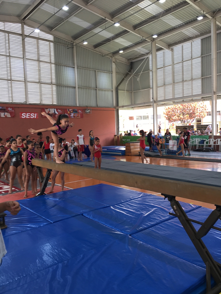 Ginastica