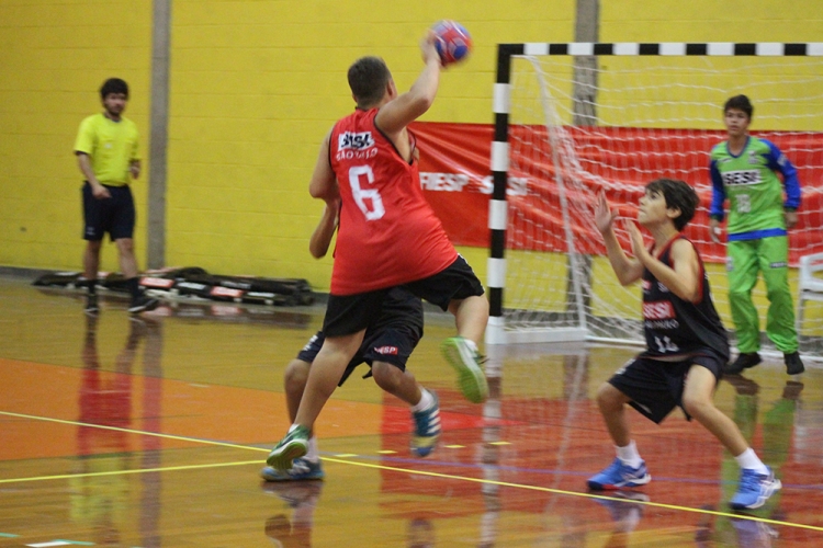 Handebol