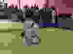 Judo