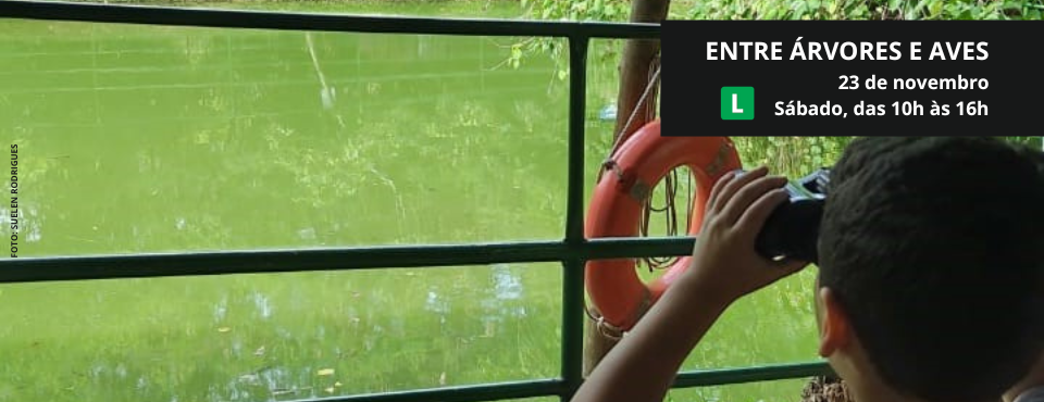 SESI Votorantim promove uma experiência imersiva para observação de aves