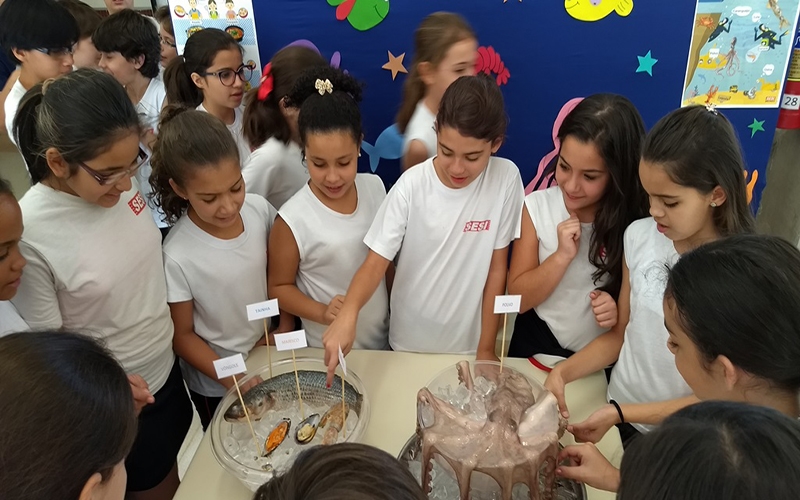 Campanha “Pescados – peixes e frutos do mar”