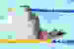 LigaSesi2024