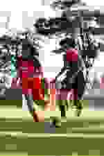 LigaSesi2024