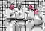SESI_JUDO_Troféu Brasil 2026