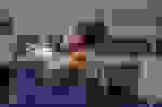 CBGA26