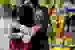 CBGA26