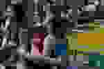 CBGA26