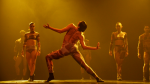 Focus Dança Piazzolla chega ao Teatro do Sesi-SP com espetáculo consagrado pelo público e crítica