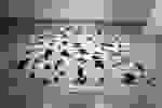 File2024_5