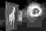 File2024_4