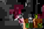 NocivaseVenenosas