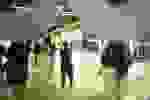 Expo_TPS