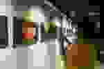 Expo_TPS
