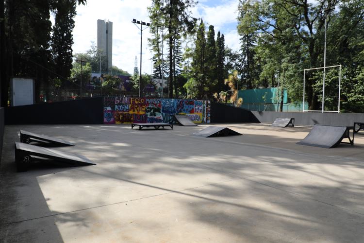 Pista de Skate