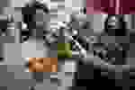 CAOSESI_2026
