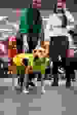 CAOSESI_2026