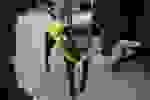 CAOSESI_2026