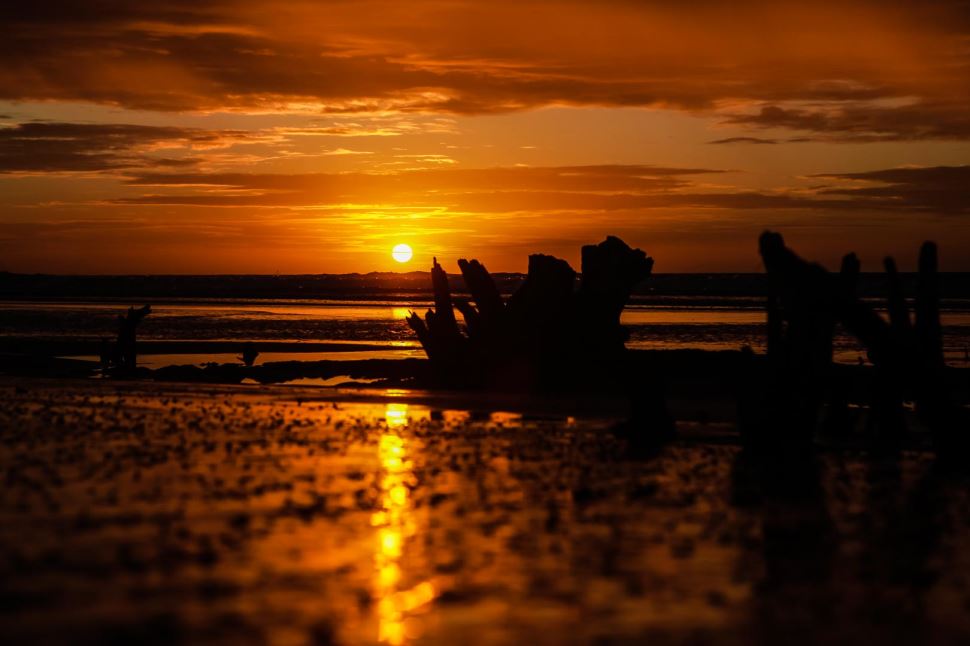 Fotos do Sol Cearense ganham exposição no Sesi Matão