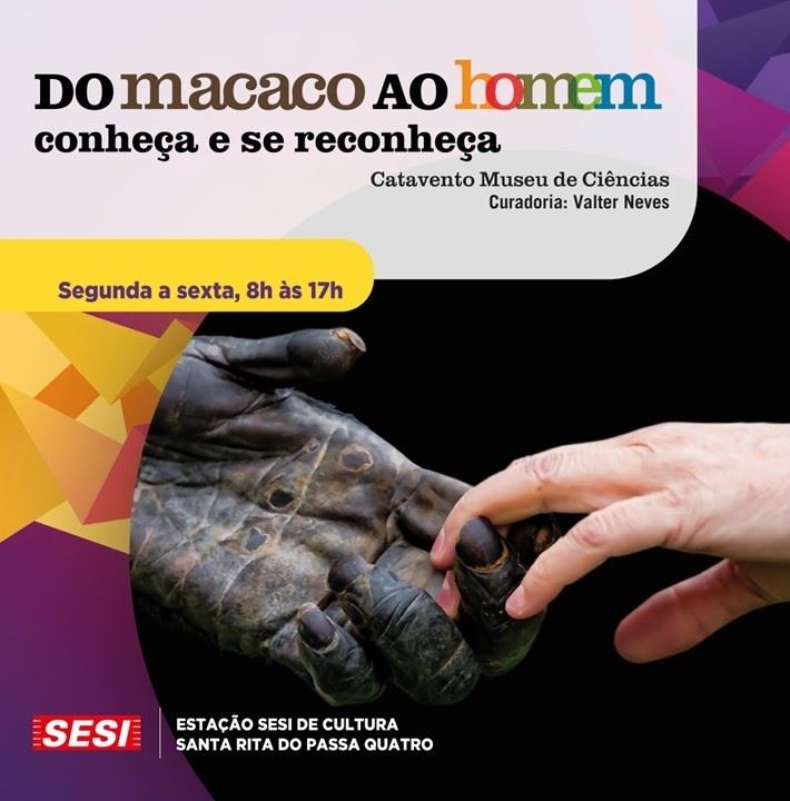 Exposição “Do Macaco ao Homem” pode ser vista na ESC Santa Rita