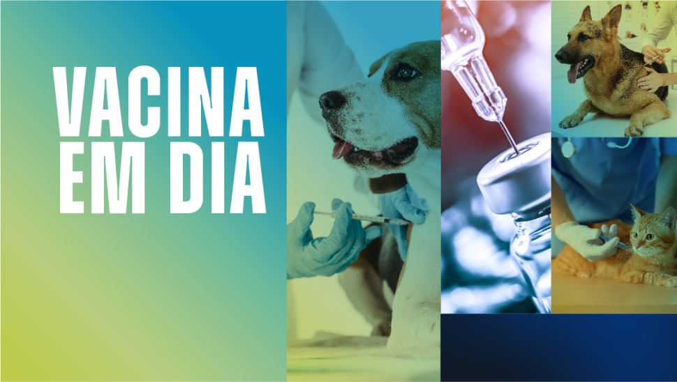Aproveite o domingo na Paulista para vacinar seu pet