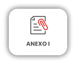 Anexo I