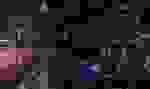 Work_PLeC