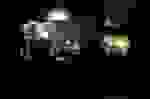 CidadesLiquidas_6