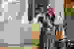 DPNN_13